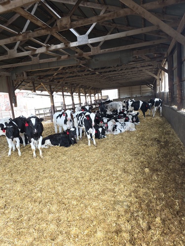 Gallery Image original-D8B49D59-B021-4102-82F2-22FC7F0A2365.jpeg