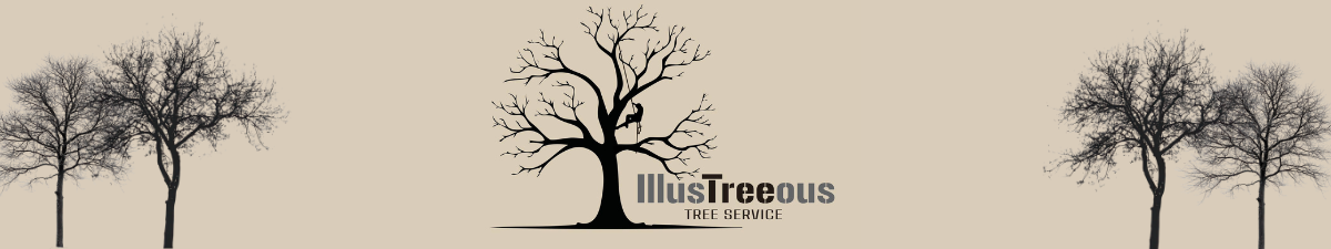 IllusTreeous Tree Service