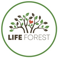 Life Forest