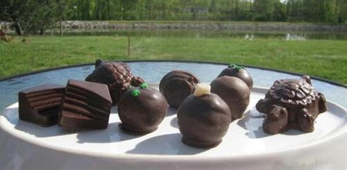 chocolates on a plate with outside view