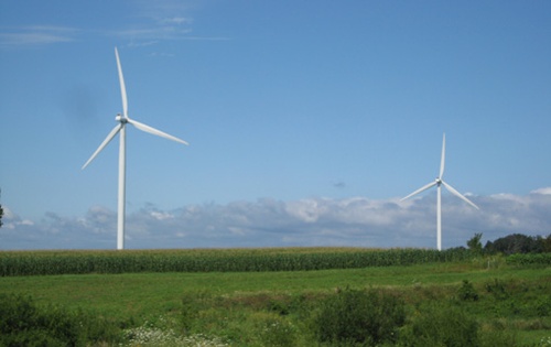 View of windmills in field