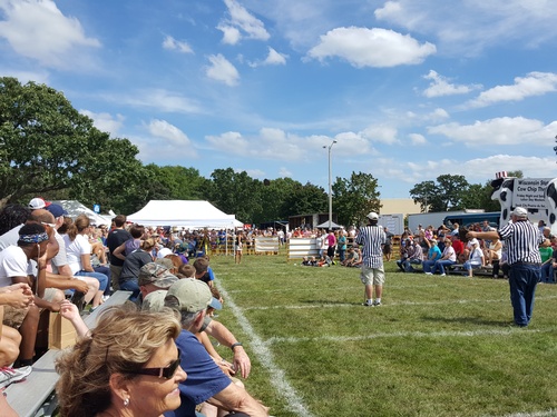View of Cow Chip throw with people watching on bleachers