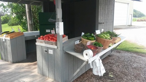 Fresh vegetables outside on display
