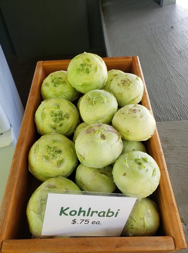Kohlrabi in a basket on display