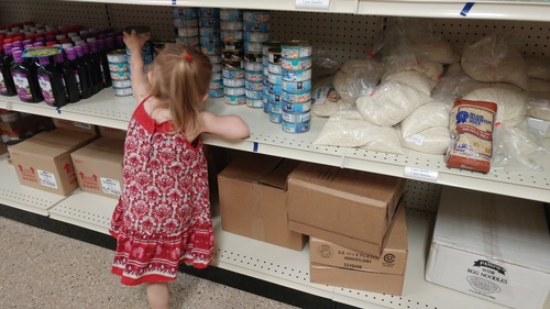 Child reaching for a can on a shelf at the sauk prairie food pantry