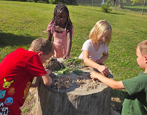 Gallery Image mcs%20outdoor%20learning.jpg
