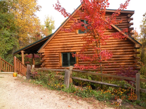 Outdoor view of log cabin in the fall