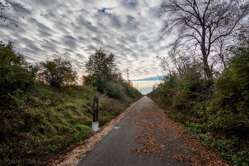 View of Great Sauk State Trail during fall