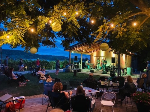 View of live music at nighttime at The Vines