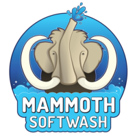 Mammoth Softwash