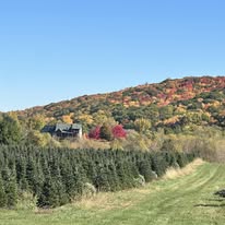 Gallery Image 477744420_633544089206029_1131699032714280190_n.jpg