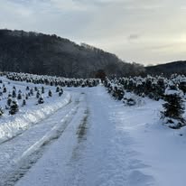 Gallery Image 592364312_856941630199606_4031887545102854907_n.jpg