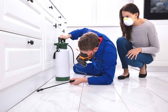 Call to Pest Control Call to Pest Control