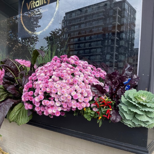 Gallery Image 545322097_122131924628894164_2460465299181884354_n.jpg