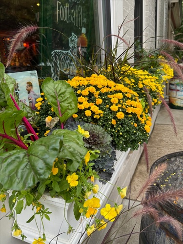 Gallery Image 552042526_122134680206894164_9169826711637444098_n.jpg