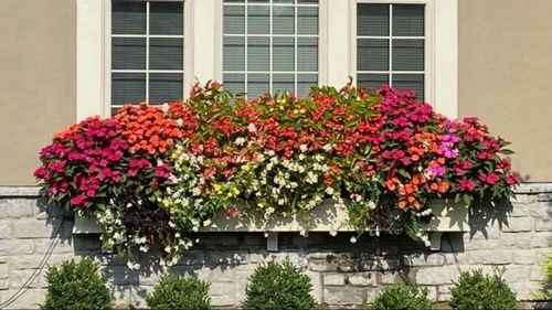 Gallery Image 628262514_122155203272894164_8225557403582966702_n.jpg