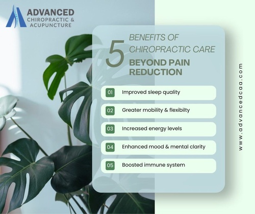 Gallery Image 490731860_1243935657731720_7038421459422540183_n.jpg