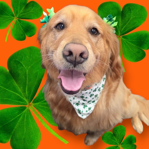 Gallery Image 650343474_122113982799236775_7837270391216055186_n.jpg