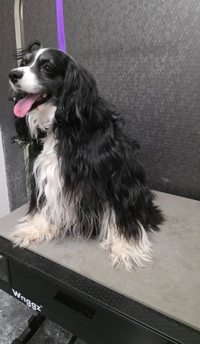 Gallery Image 653701153_122115508845236775_8005420892827081007_n.jpg