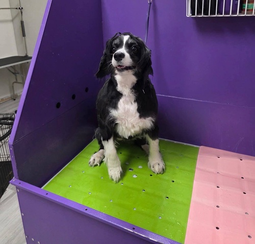 Gallery Image 653705914_122115509025236775_9144838818901626855_n.jpg