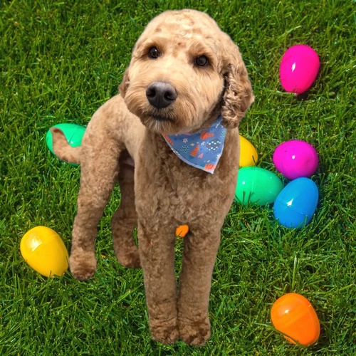 Gallery Image 655619953_122115872601236775_8531395988334934270_n.jpg