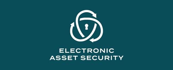 Electronic Asset Security