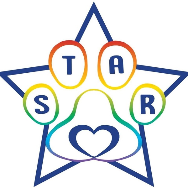 Safe Tails Animal Rescue Corp. Safe Tails Animal Rescue Corp.