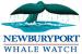 Newburyport Whale Watch