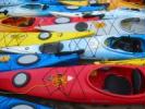 Plum Island Kayak, Inc Plum Island Kayak, Inc
