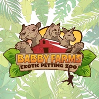 Babby Farms