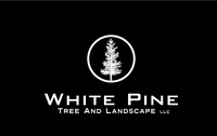 White Pine Tree and Landscape LLC