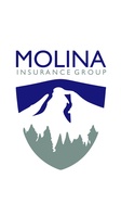 Molina Insurance Group