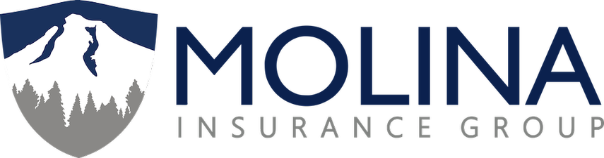 Molina Insurance Group