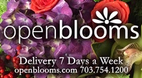 Open Blooms Open Blooms