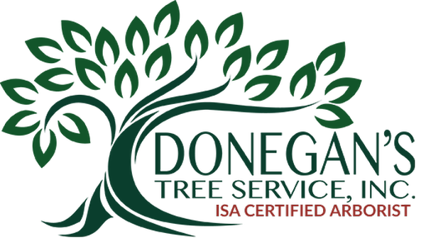 Donegan's TreeService Donegan's TreeService