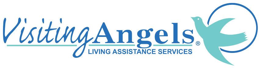 Visiting Angels Leesburg