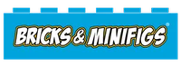 Bricks & Minifigs Loudoun