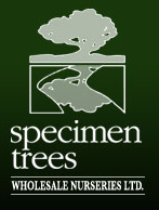Specimen Trees Wholesale Nurseries