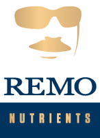 Remo Brands Inc.