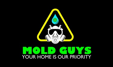Mold Guys