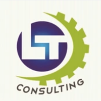 LT Consulting