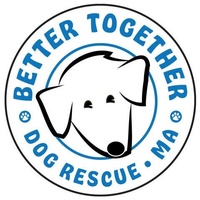 Better Together Dog Rescue