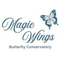 Magic Wings Butterfly Conservatory