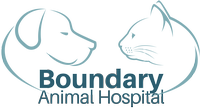 Boundary Animal Hospital