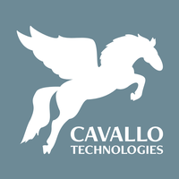 Cavallo Technologies Inc.