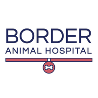 Border Animal Hospital