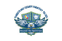 Beyond The Spectrum Institute, LLC