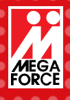 Mega Force Staffing Group, Inc.