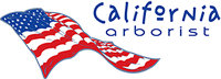 CALIFORNIA ARBORIST
