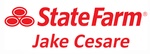 State Farm Insurance - Jake Cesare